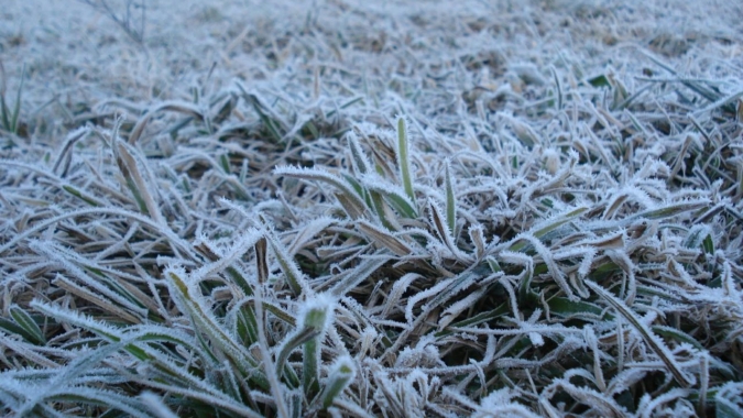 Frio intenso mantém temperaturas negativas no Sul e ainda favorece geadas nesta semana