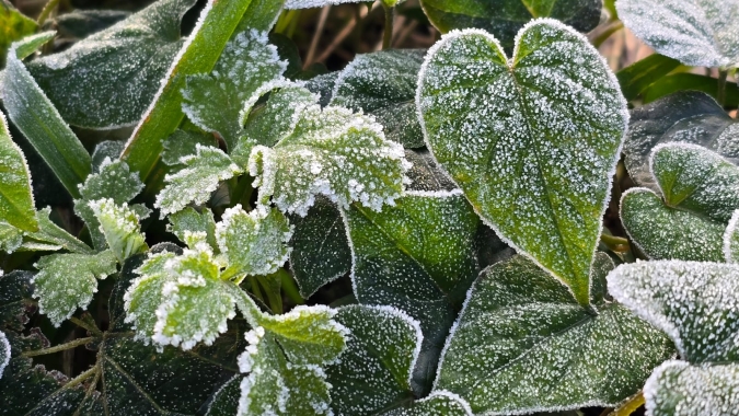 Serra Catarinense tem amanhecer com geada e temperaturas negativas nesta quarta-feira (15)