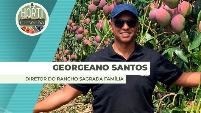 HORTI RESENHA #131 - Rancho Sagrada Família produz e exporta mangas no Vale do São Francisco