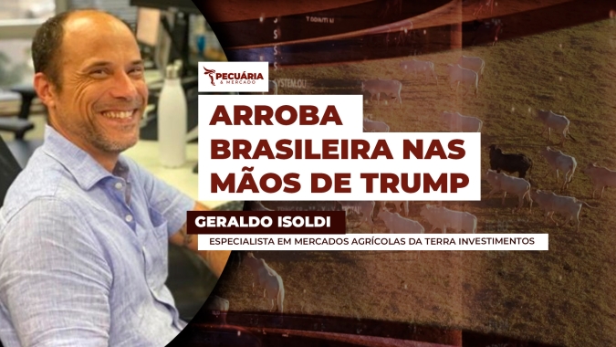 Cenário de pressão na arroba do boi pode reverter se Trump confirmar retirada das tarifas para carne bovina