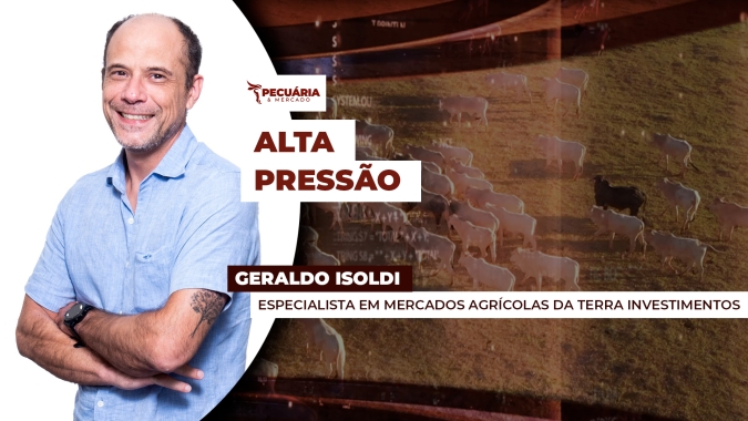 Arroba do boi gordo pode perder suporte dos R$300 com o aumento de oferta no curto prazo