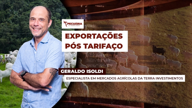 Volume exportado de carne bovina acelera em julho e valida tradição de aumento dos embarques no segundo semestre