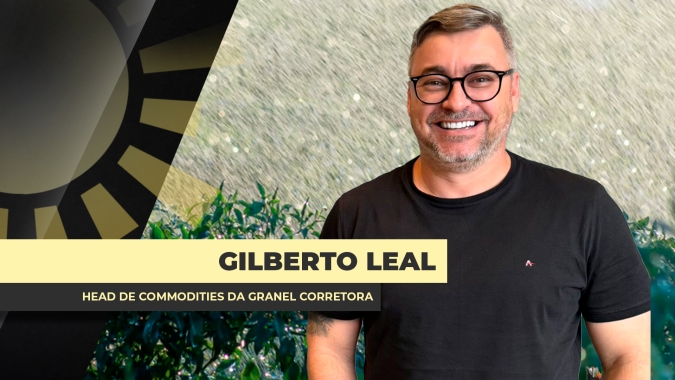 Excesso de avariado na soja do MT compromete fluxo do grão, encarece ainda mais a logística e demanda redirecionamento do grão; discussão sobre classificação se intensifica