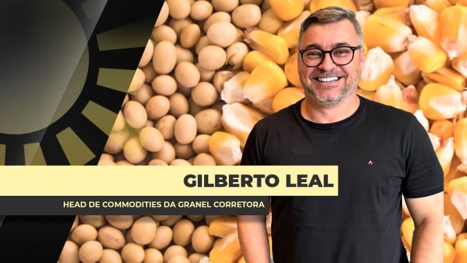 Milho no interior do MT tem menos de R$ 40/sc e soja menos de R$ 100 com pressão vinda do dólar; produtor se retrai nas vendas