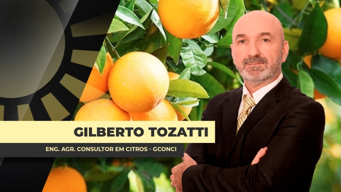 Dia do Citricultor: Brasil mantém protagonismo na produção global de laranja e suco, apesar de cenário de desafios