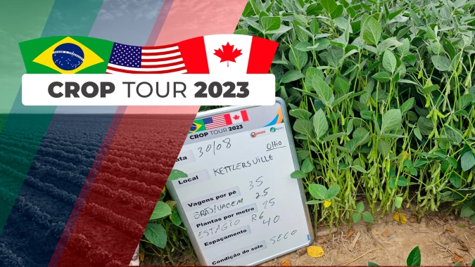 Crop Tour 2023 viu lavouras de soja que precisam de chuva em Ohio e devem ter produtividade menor do que as de outras regiões