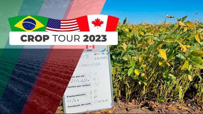 Em Illinois, equipe do Crop Tour encontra milho ruim e soja com boas lavouras