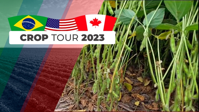 Na divisa de Indiana e Ohio, Grupo Labhoro e Notícias Agrícolas encontram soja de alta produtividade, mas que ainda precisa de mais chuva