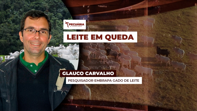 Preço do leite ao produtor recua pelo segundo mês seguido com maior oferta e demanda retraída