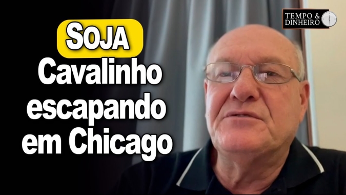 Cavalinho da Soja escapando em Chicago, comenta Vlamir Brandalizze