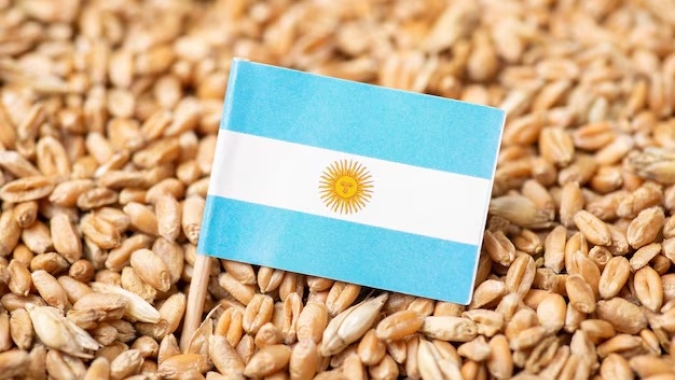 Argentina: Governo de Milei quer entrada de US$ 7 bilhões no país com retenciones zeradas