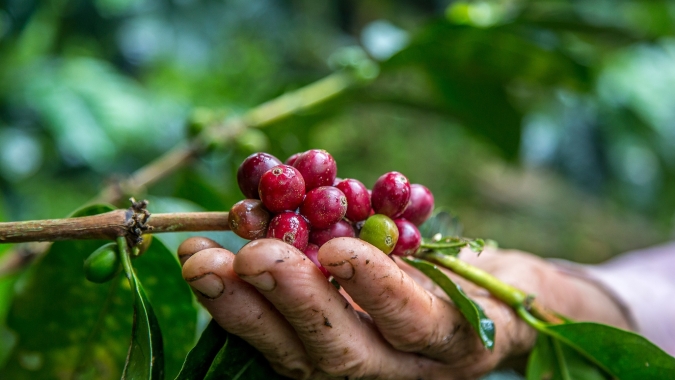Feira do Cerrado promove a gestão responsável e a sustentabilidade dos negócios como requisitos básicos para sobrevivência da cafeicultura