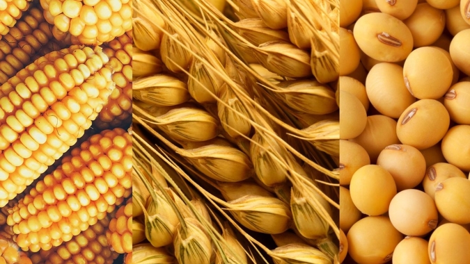 Safras asiáticas enfrentam ameaça de El Niño e aumenta preocupação com inflação de alimentos
