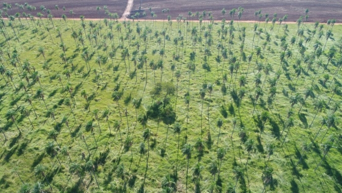 São Paulo amplia orientação para produtor rural transformar regularização ambiental em oportunidade de renda