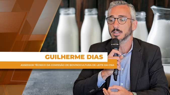 Dumping reconhecido, tarifa adiada: o que está em jogo para o leite brasileiro?