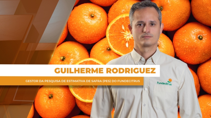 Safra 25/26 de laranja é encerrada com mais de 292 milhões de caixas
