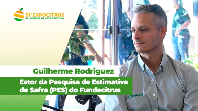 Crescimento do greening está mais contido, mas ainda é principal desafio da citricultura