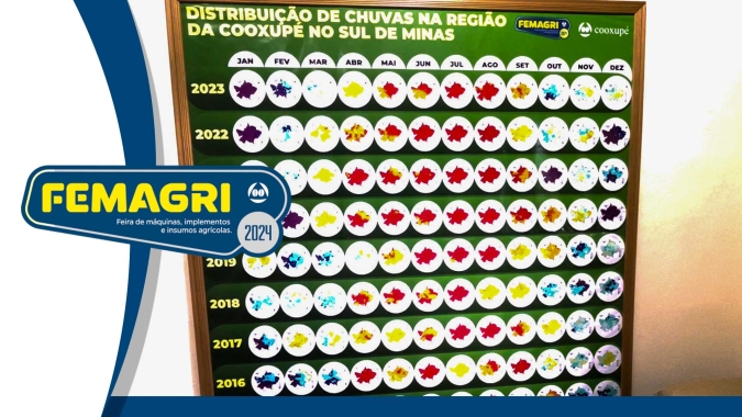 Café: Maturação precoce pode antecipar colheita da safra de arábica em importantes áreas