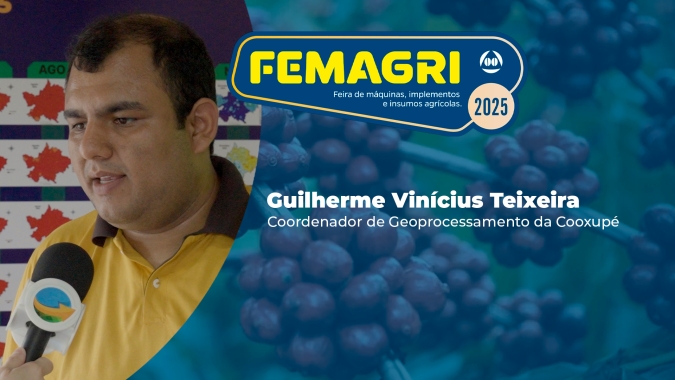 Como o clima influência no sistema produtivo cafeeiro?