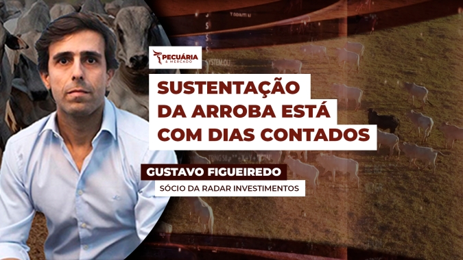 Volume de animais ofertados a partir da segunda quinzena de maio vai definir rumo dos preços da arroba