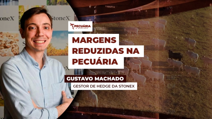 Queda na arroba do boi supera expectativas e acende alerta para confinamentos que não utilizaram ferramentas de proteção