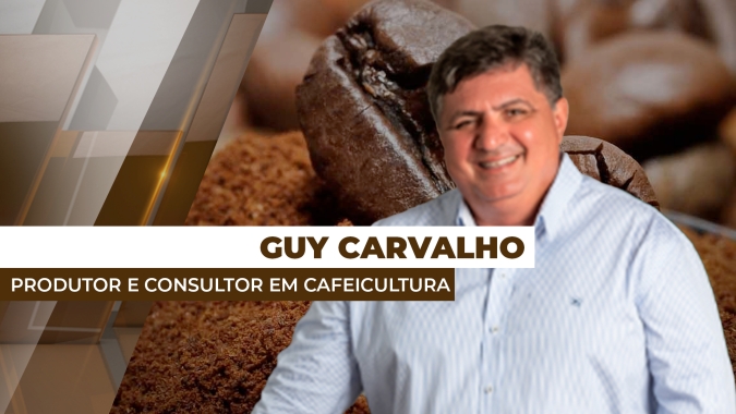 Colheita dos cafés especiais irrigados já foi iniciada e tem apresentado boa produtividade