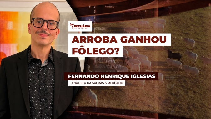 Mercado do boi encontra equilíbrio, mas novos desafios entram no radar