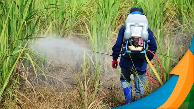 IAC lança boletim gratuito com fundamentos para aplicação de herbicidas em cana-de-açúcar