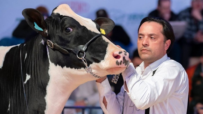 Inédito: Genoma da Raça Holandesa será lançado no Agroleite