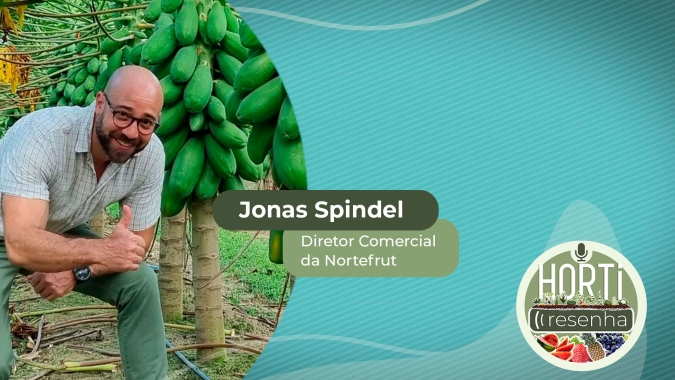 HORTI RESENHA #23 – Com desafios fitossanitários, mamão busca ampliar espaço no mercado brasileiro e atingir outros países na exportação