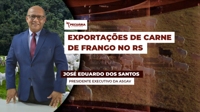 Indústrias do RS já estão tecnicamente prontas para retomar exportações de frango no estado, mas ainda dependem da aprovação de 25 países