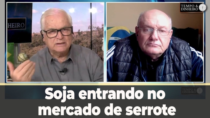 Soja entrando no mercado de serrote