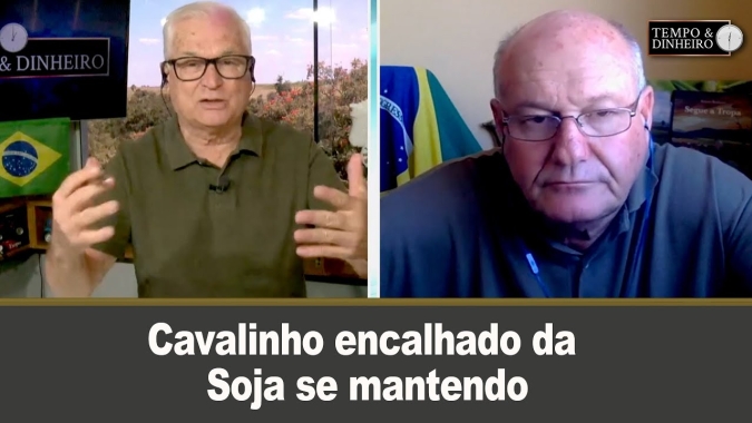 Cavalinho encalhado da Soja se mantendo
