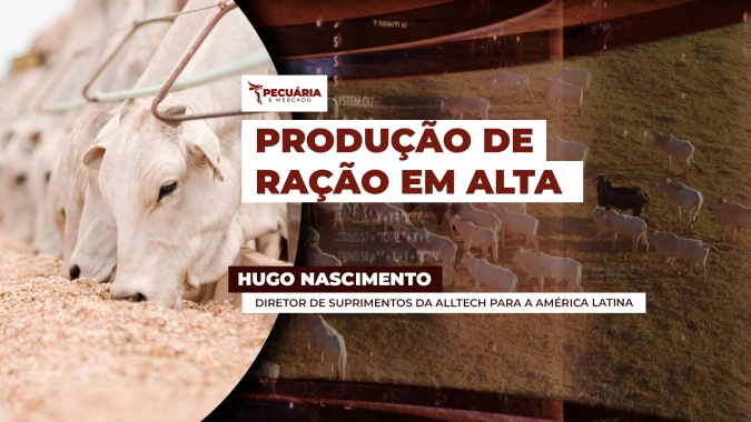 Produção de ração no Brasil cresce 2,8%, para 90 milhões de toneladas em 2025