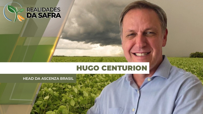 Após 2025 com aumento de produção, 2026 começa com desafios para o tomate