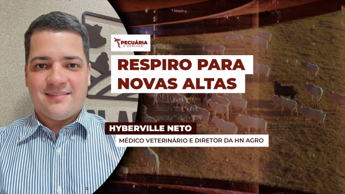Ritmo de alta da arroba diminui, mas não deve interferir na trajetória positiva dos preços do boi gordo