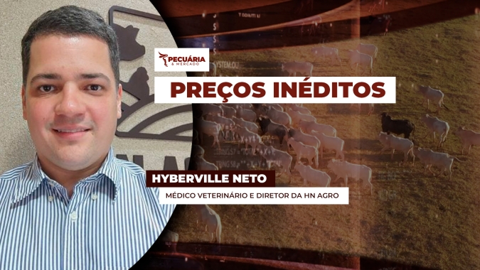 Mercado do boi tem preços inéditos para arroba e reposição com apoio da carne que  registra os maiores preços desde 2022