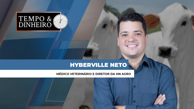 USDA E projeções para exportação de carne de boi, de frango e suínos, analisa Hyberville Neto
