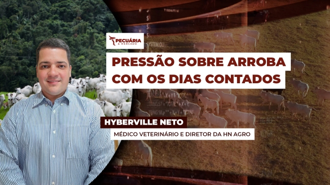 Notícias positivas da carne no atacado podem acalmar pressão sobre arroba do boi