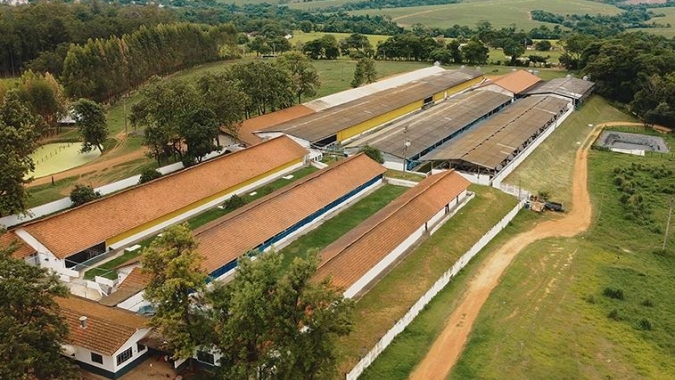 Ianni Agropecuária produz 7 mil toneladas de carne suína/ano e pode abastecer até 600 mil pessoas