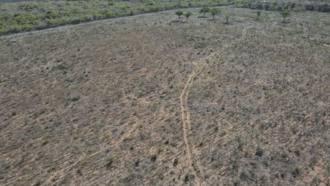 Ibama aplica cerca de R$ 1 milhão em multas e embarga 1,85 mil hectares na Paraíba