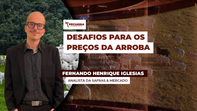 Mês de julho começa com desafio para os preços da arroba