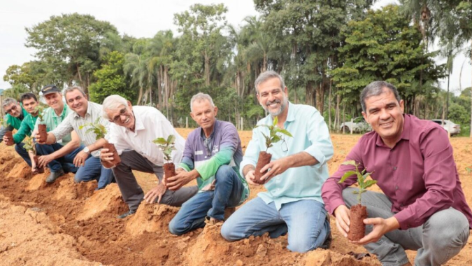 Emater Goiás aposta no café e fortalece o cultivo em Goianésia