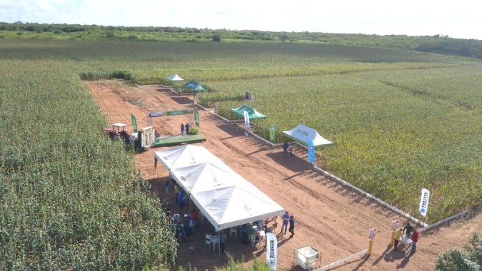 Programa Prospera beneficia mais de 15 mil pessoas na região Nordeste