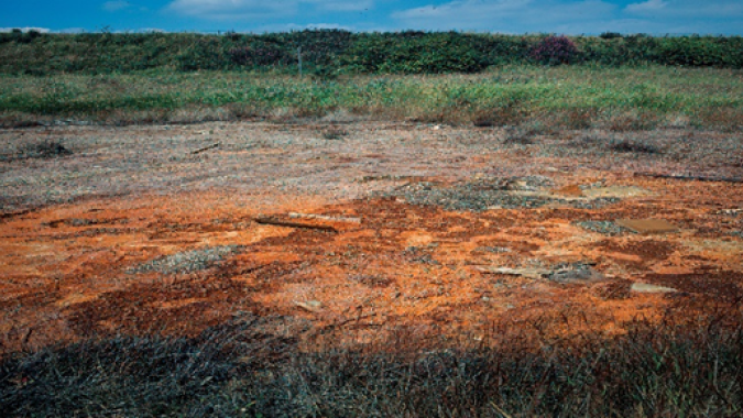 Área degradada: como o comprador pode se precaver da responsabilização por danos ambientais da terra recém adquirida