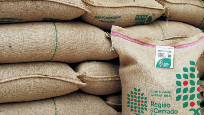 Volume de café exportado pelo Espírito Santo caiu 13% em julho