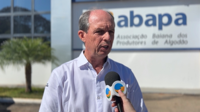 Safra de algodão em LEM aumentou em 2023/24 deve chegar a 662 mil toneladas de pluma