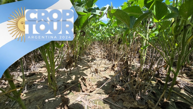 Dia 2: Norte de Santa Fe e partes de Córdoba acendem alerta sobre safra 23/24 da Argentina