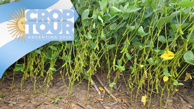 Dia 3: Entrando em La Pampa, Crop Tour ainda enxerga necessidade de chuvas para manutenção da safra