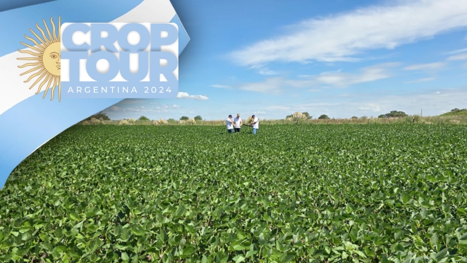 Dia 5: Grupo Labhoro estima safra de soja da Argentina entre 48 a 50 mi de t ao final do Crop Tour 2024